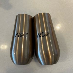 Set of 2 - Insulated Champagne Glasses